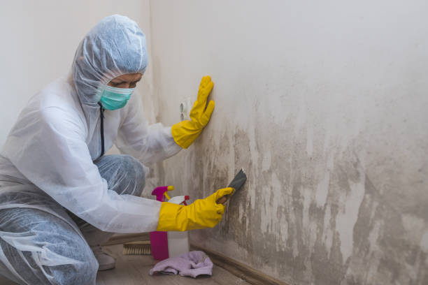 Best Fast Mold Removal  in Myersville, MD