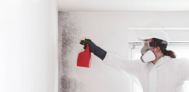 Best Professional Mold Removal  in Myersville, MD