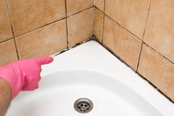 Best Toxic Mold Removal  in Myersville, MD